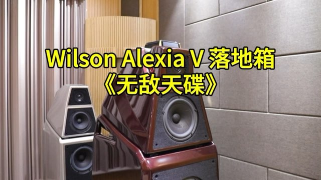 威信Wilson Audio Alexia V 落地音箱