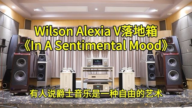 威信Wilson Audio Alexia V落地箱