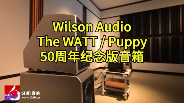 威信 50周年纪念音箱--Wilson Audio The WATT / Puppy 落地箱