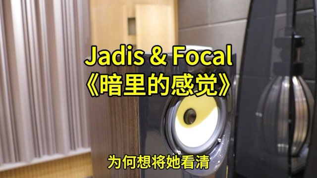 法国极品jadis da50s 胆机 劲浪Focal Spectral 40周年限量版落箱