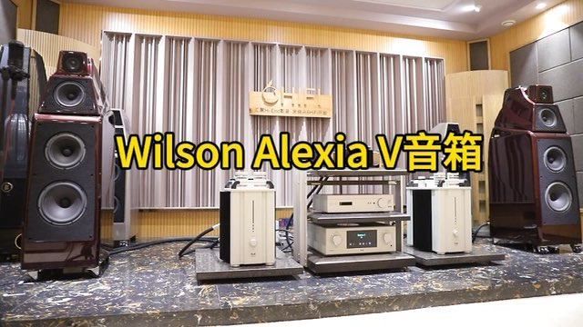 LOIT Passeri MK II CD机 T+A P3000 HV 前级 M40 HV单声道后级 威信 Wilson Audio Alexia V 落地音箱