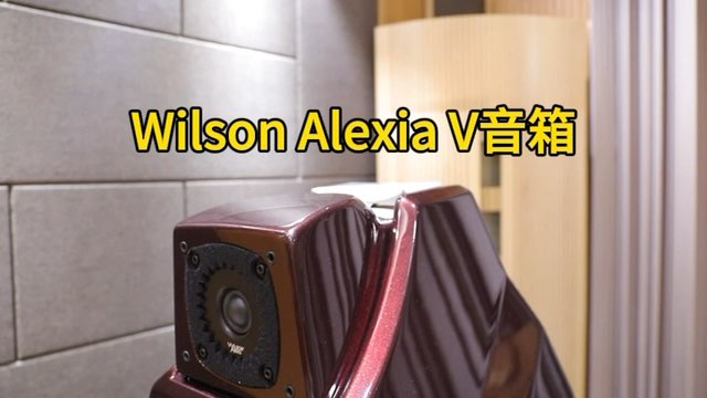 威信Wilson Audio Alexia V 落地音箱