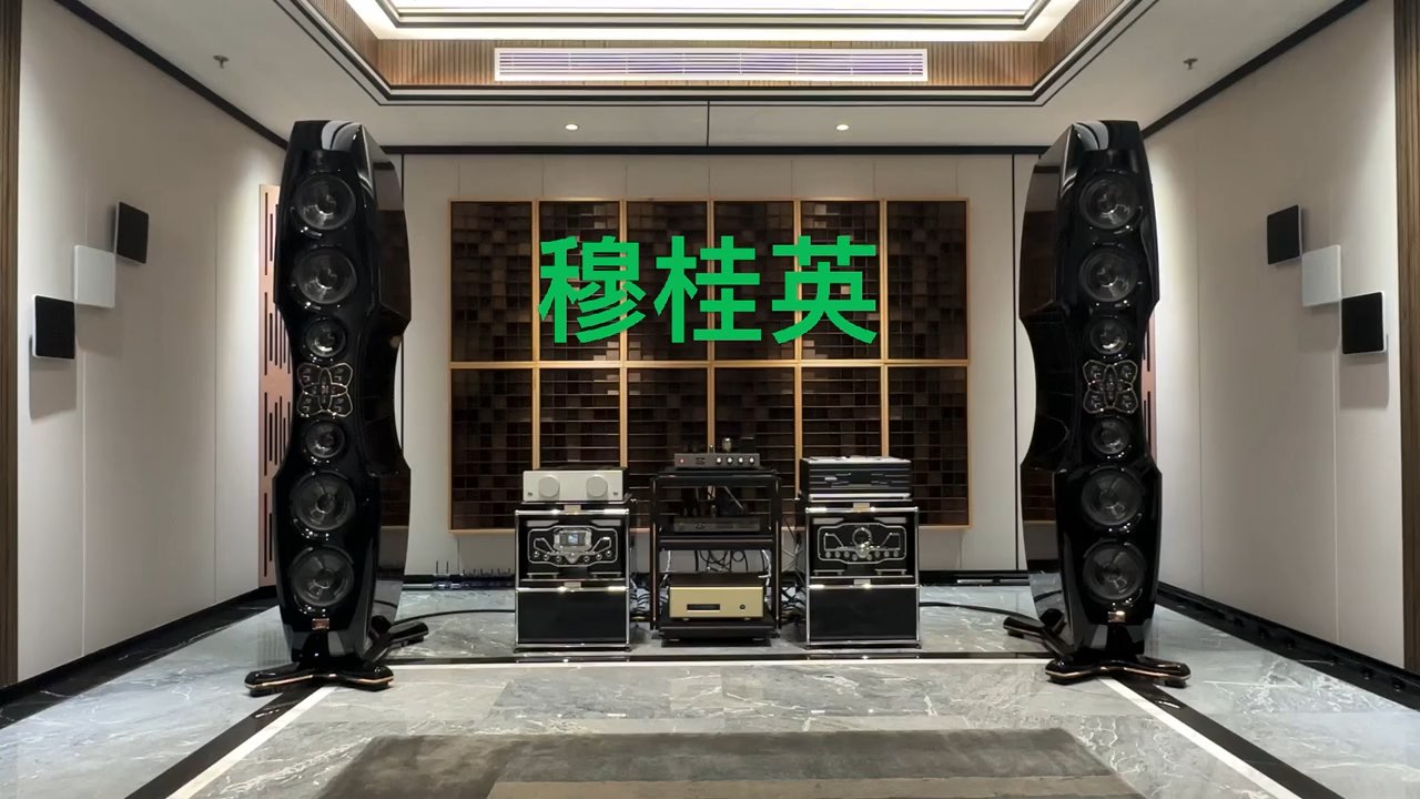 WADAX Atlantis Reference Server 数播 瑞士FM Kharma 卡玛 Enigma Veyron 1D落地箱