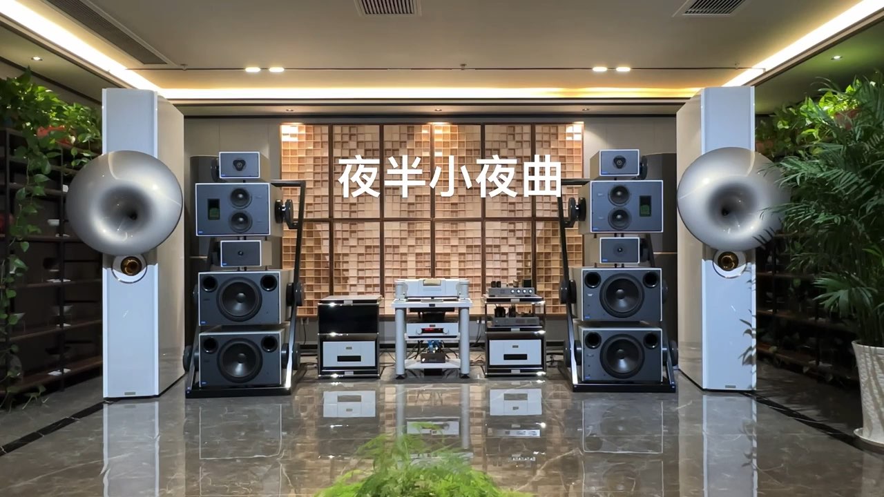 高文 Goldmund EIDOS REFERENCE 参考SACD 播放器 Mimesis signature 前级  Mimesis 29 单声道后级 APOLOGUE SE 落地音箱 