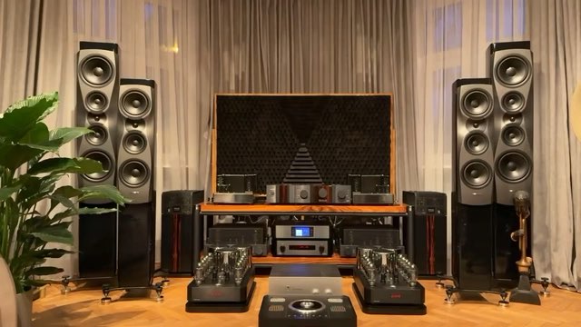 奥地利 Ayon Audio 前后级 丹拿 Dynaudio 信心系列 Confidence 30 落地箱