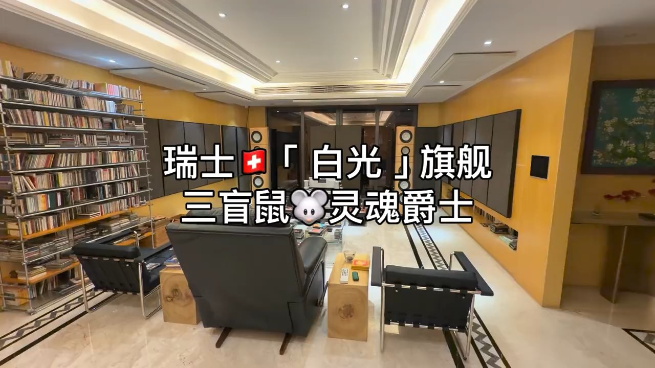 瑞士Goldmund 高文 Eidos Reference SACD/CD 播放机‌ 日本Kondo G-1000旗舰前级 GAKUON ll 单声道后级 瑞士 lumen white 白光 旗舰音箱Annapurna 安娜普尔纳落地音箱